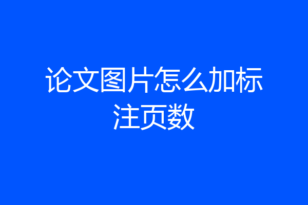 论文图片怎么加标注页数