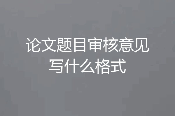论文题目审核意见写什么格式