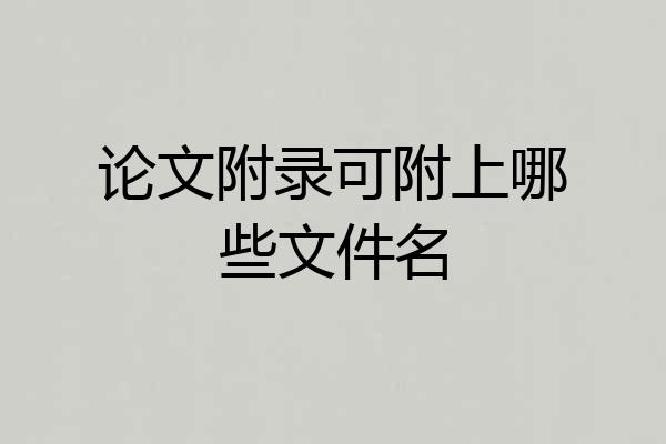 论文附录可附上哪些文件名