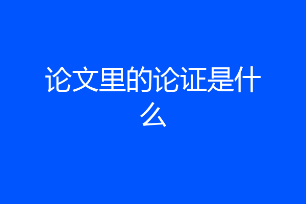 论文里的论证是什么