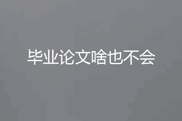 毕业论文啥也不会