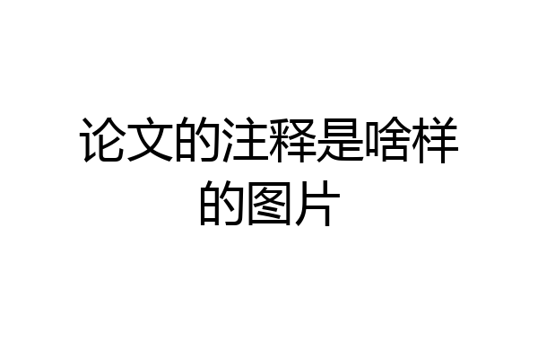 论文的注释是啥样的图片