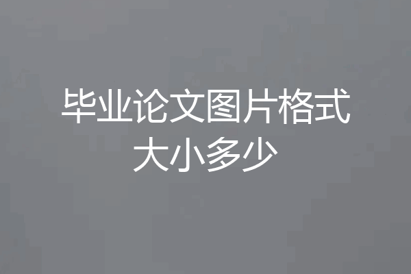 毕业论文图片格式大小多少