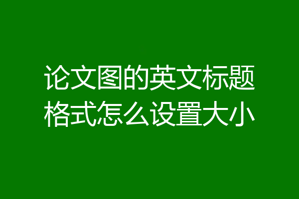 论文图的英文标题格式怎么设置大小