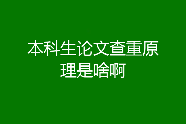 本科生论文查重原理是啥啊
