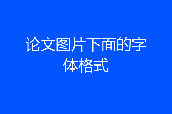 论文图片下面的字体格式