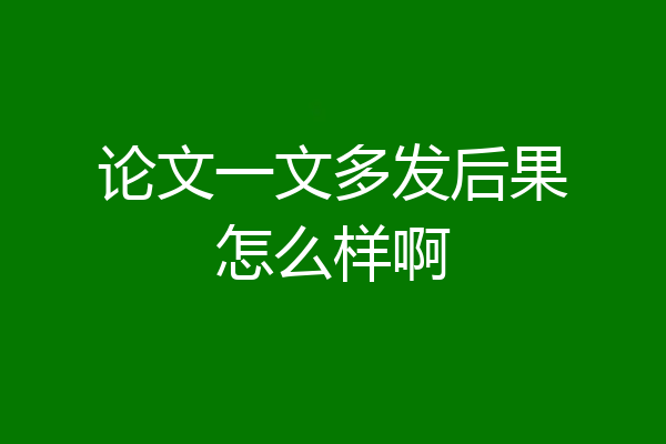 论文一文多发后果怎么样啊