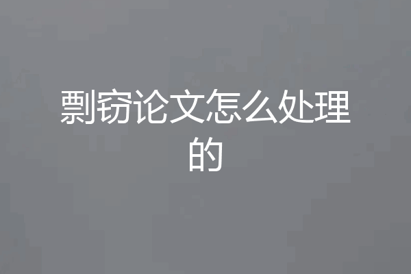 剽窃论文怎么处理的