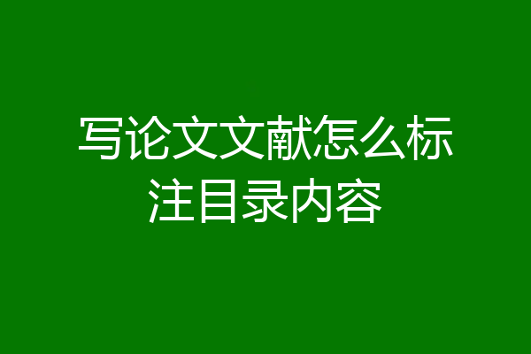 写论文文献怎么标注目录内容