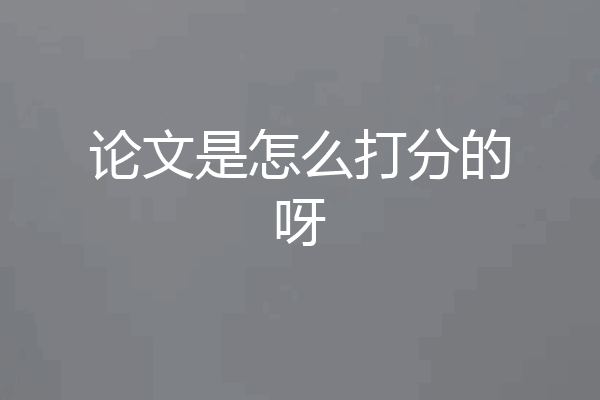 论文是怎么打分的呀