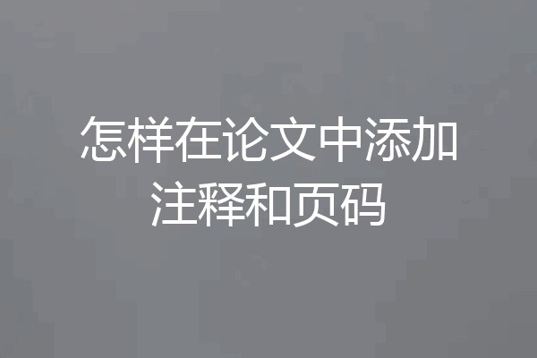 怎样在论文中添加注释和页码