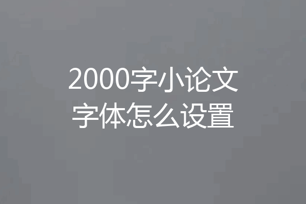 2000字小论文字体怎么设置