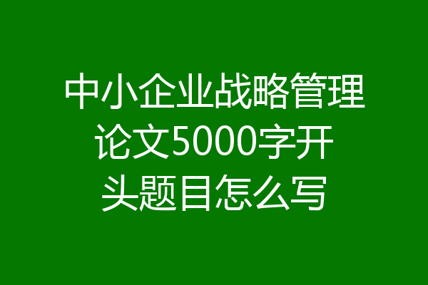 中小企业战略管理论文5000字开头题目怎么写