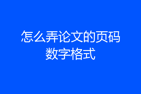 怎么弄论文的页码数字格式