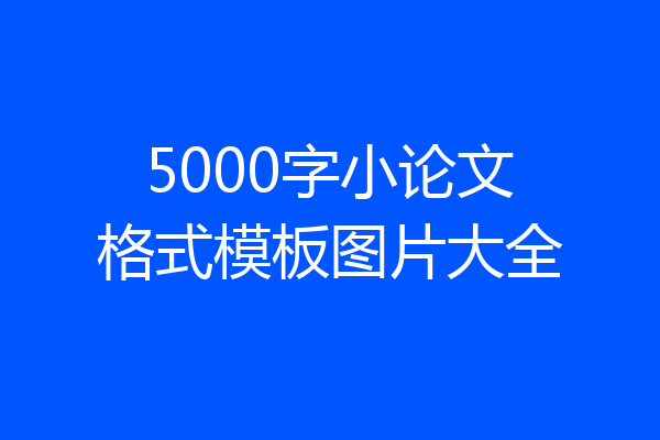 5000字小论文格式模板图片大全