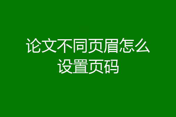 论文不同页眉怎么设置页码