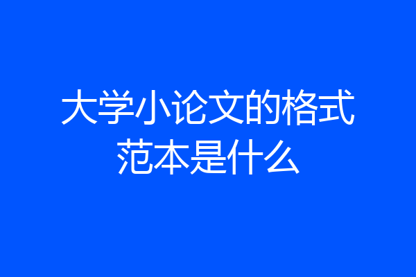 大学小论文的格式范本是什么