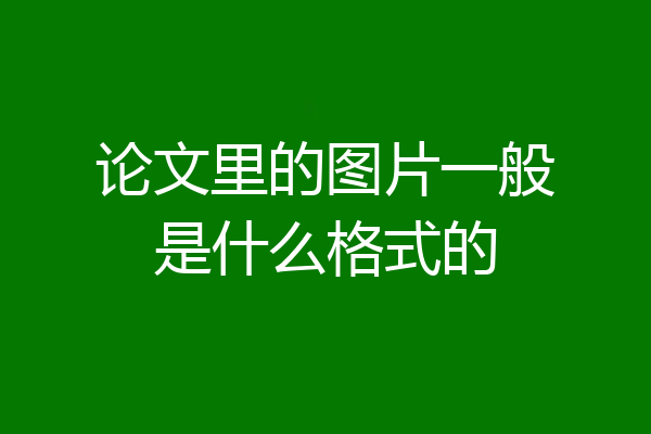 论文里的图片一般是什么格式的