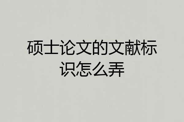 硕士论文的文献标识怎么弄