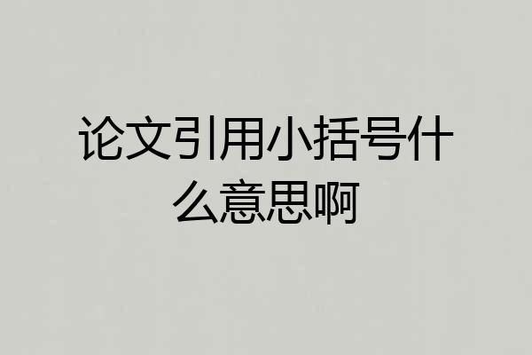 论文引用小括号什么意思啊