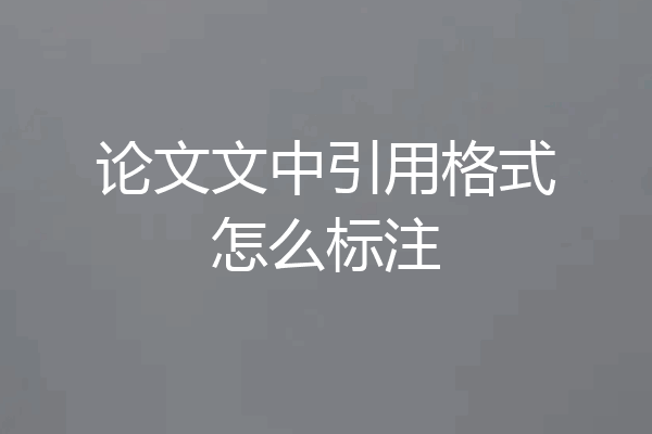 论文文中引用格式怎么标注