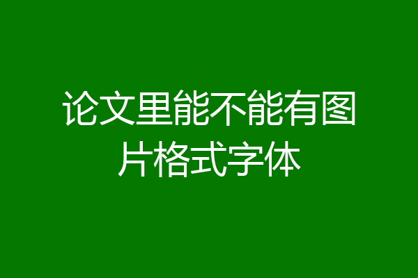 论文里能不能有图片格式字体