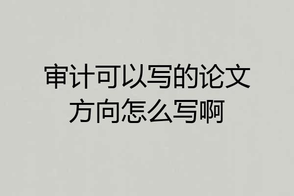 审计可以写的论文方向怎么写啊