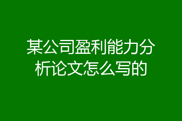 某公司盈利能力分析论文怎么写的