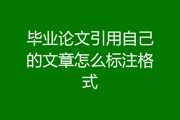 毕业论文引用自己的文章怎么标注格式