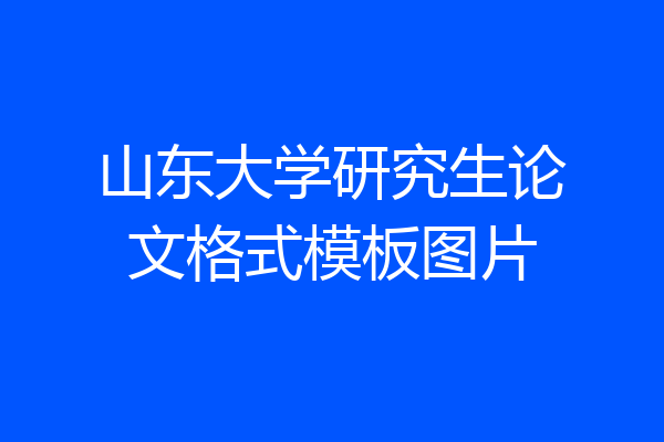 山东大学研究生论文格式模板图片