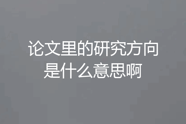 论文里的研究方向是什么意思啊
