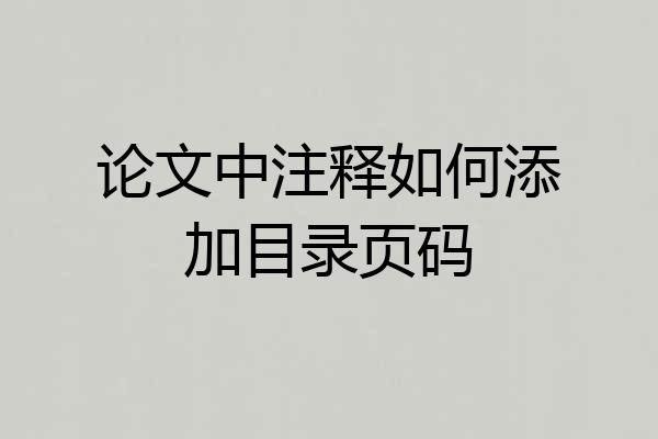 论文中注释如何添加目录页码
