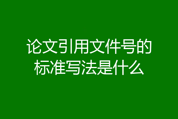 论文引用文件号的标准写法是什么