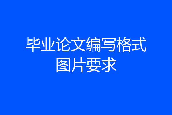 毕业论文编写格式图片要求