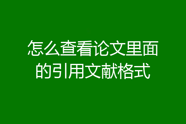 怎么查看论文里面的引用文献格式