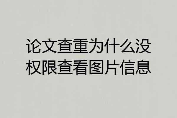 论文查重为什么没权限查看图片信息