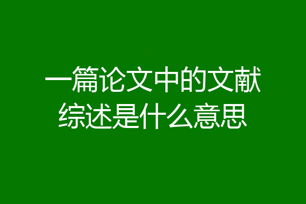 一篇论文中的文献综述是什么意思