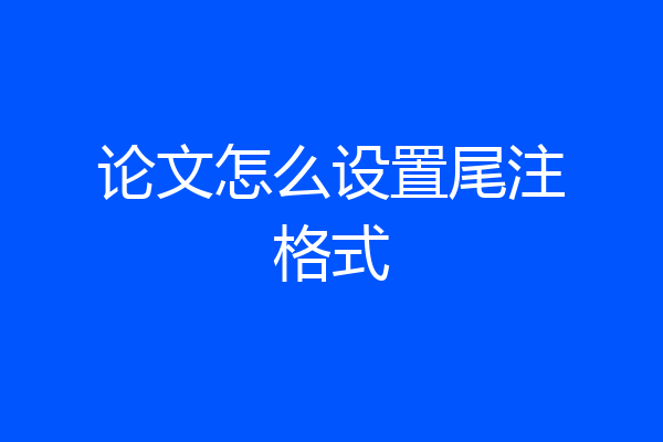 论文怎么设置尾注格式
