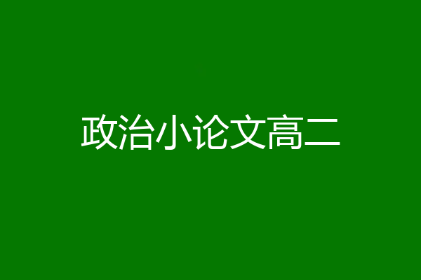 政治小论文高二