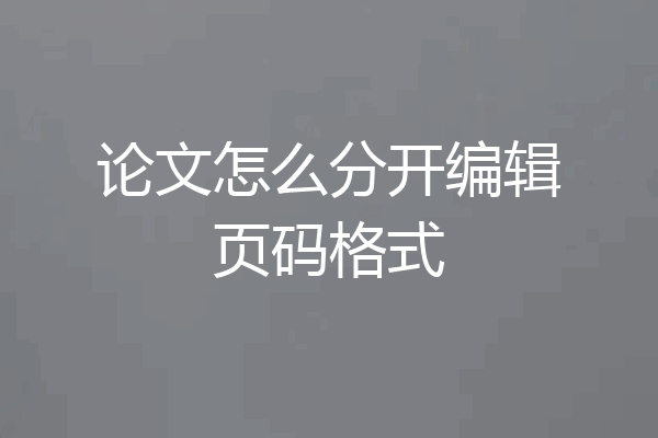 论文怎么分开编辑页码格式