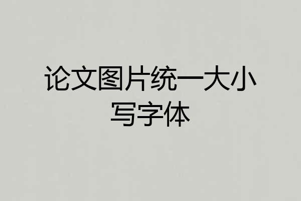 论文图片统一大小写字体
