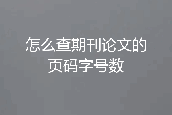 怎么查期刊论文的页码字号数
