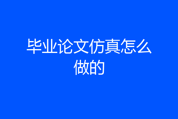 毕业论文仿真怎么做的