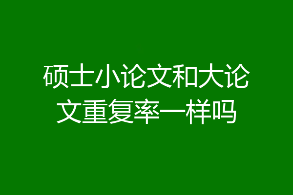 硕士小论文和大论文重复率一样吗