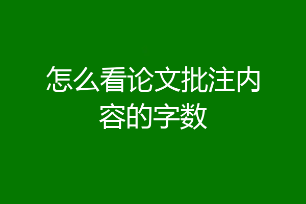 怎么看论文批注内容的字数