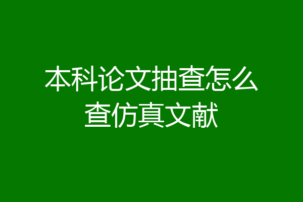 本科论文抽查怎么查仿真文献