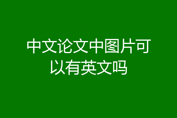 中文论文中图片可以有英文吗