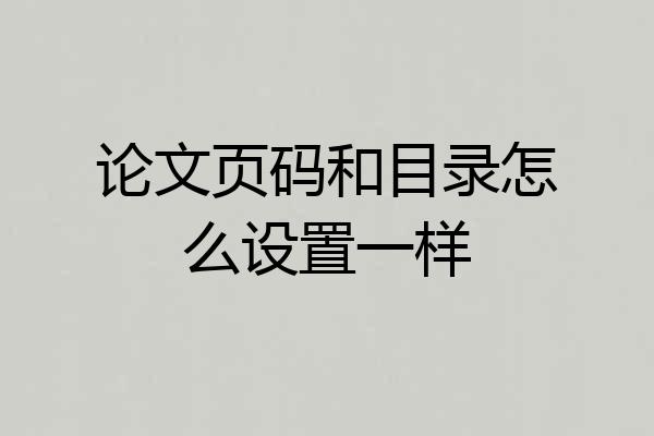 论文页码和目录怎么设置一样
