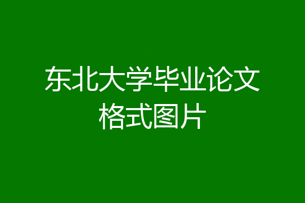 东北大学毕业论文格式图片