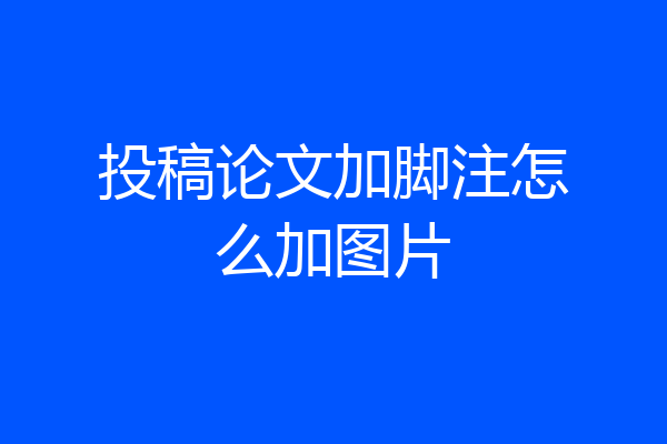 投稿论文加脚注怎么加图片